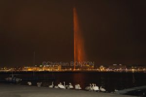 orangesoropromist011