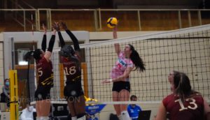 volleyfem12dec020