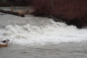 Crue_Arve006