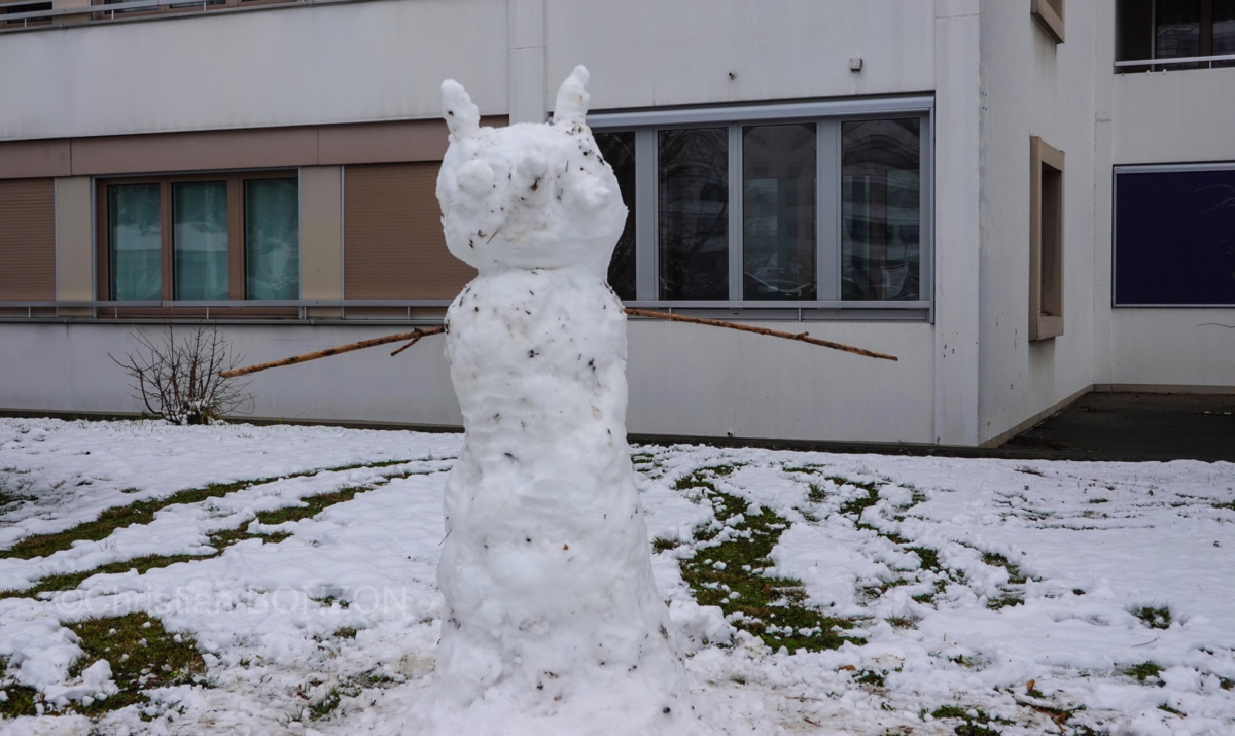 Neige001bohnommeneige