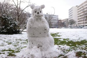 Neige004bohnommeneige