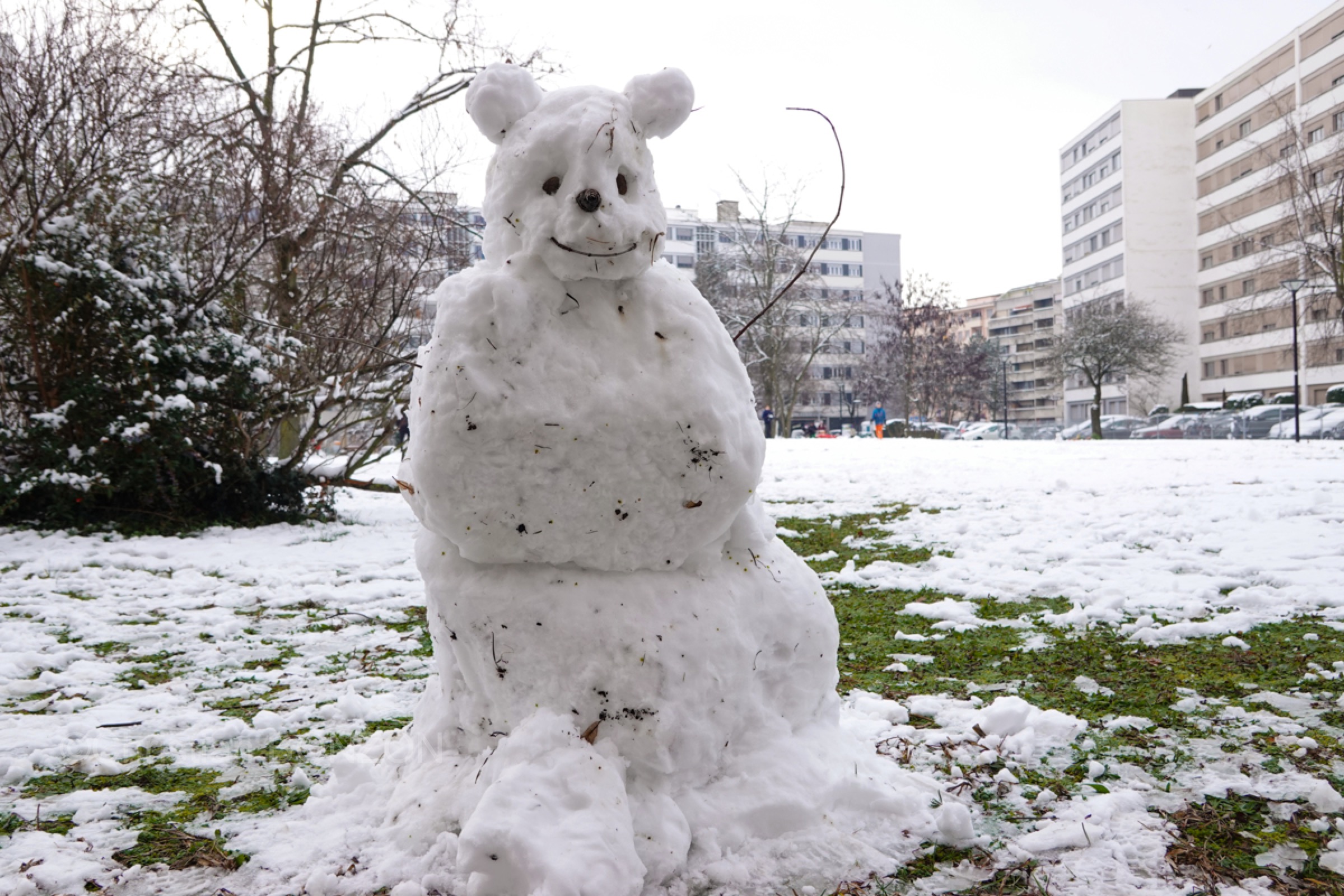 Neige004bohnommeneige