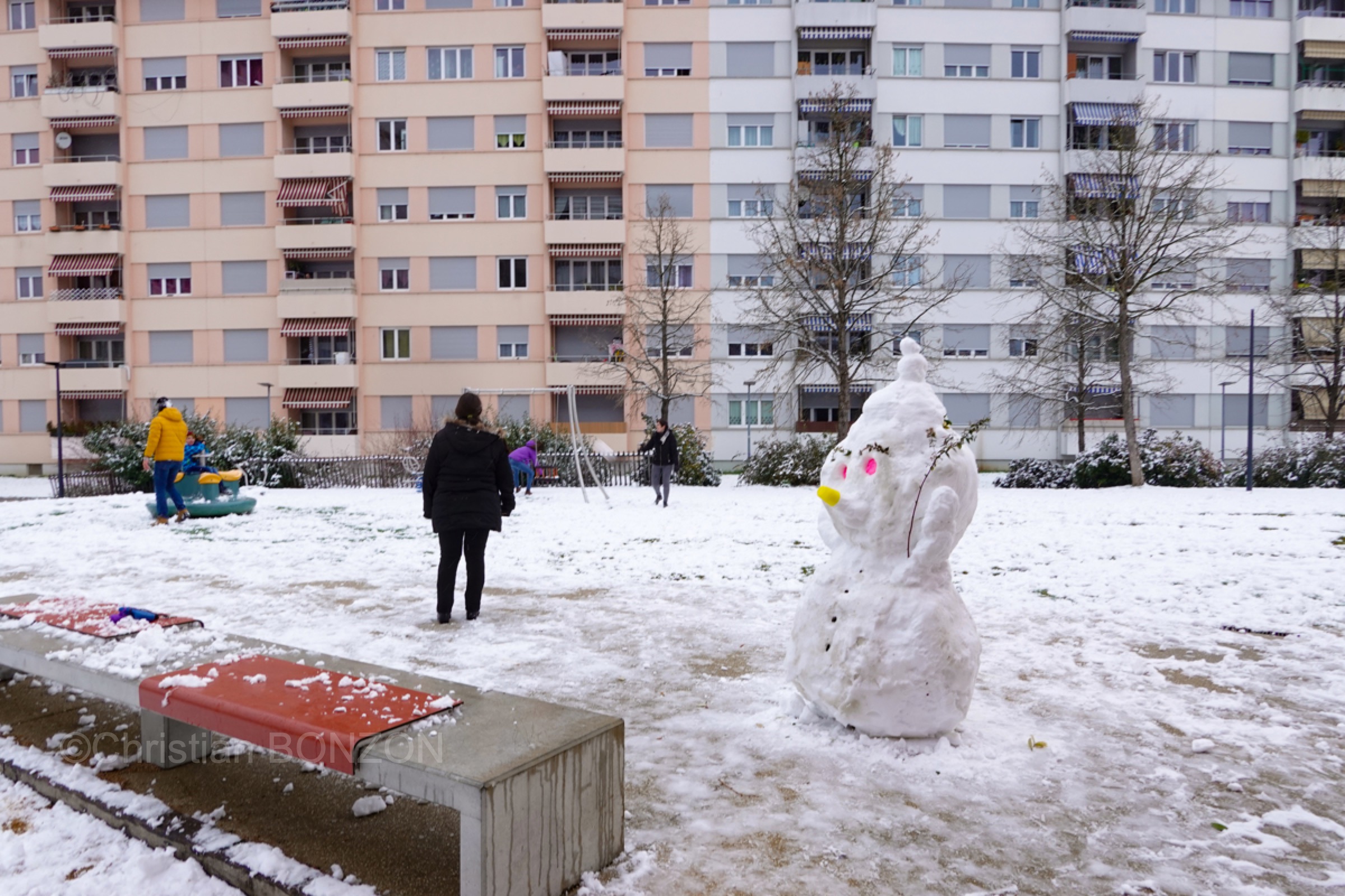 Neige005bohnommeneige