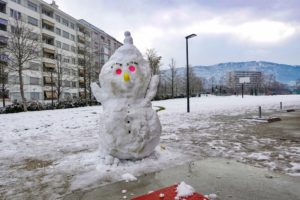 Neige006bohnommeneige