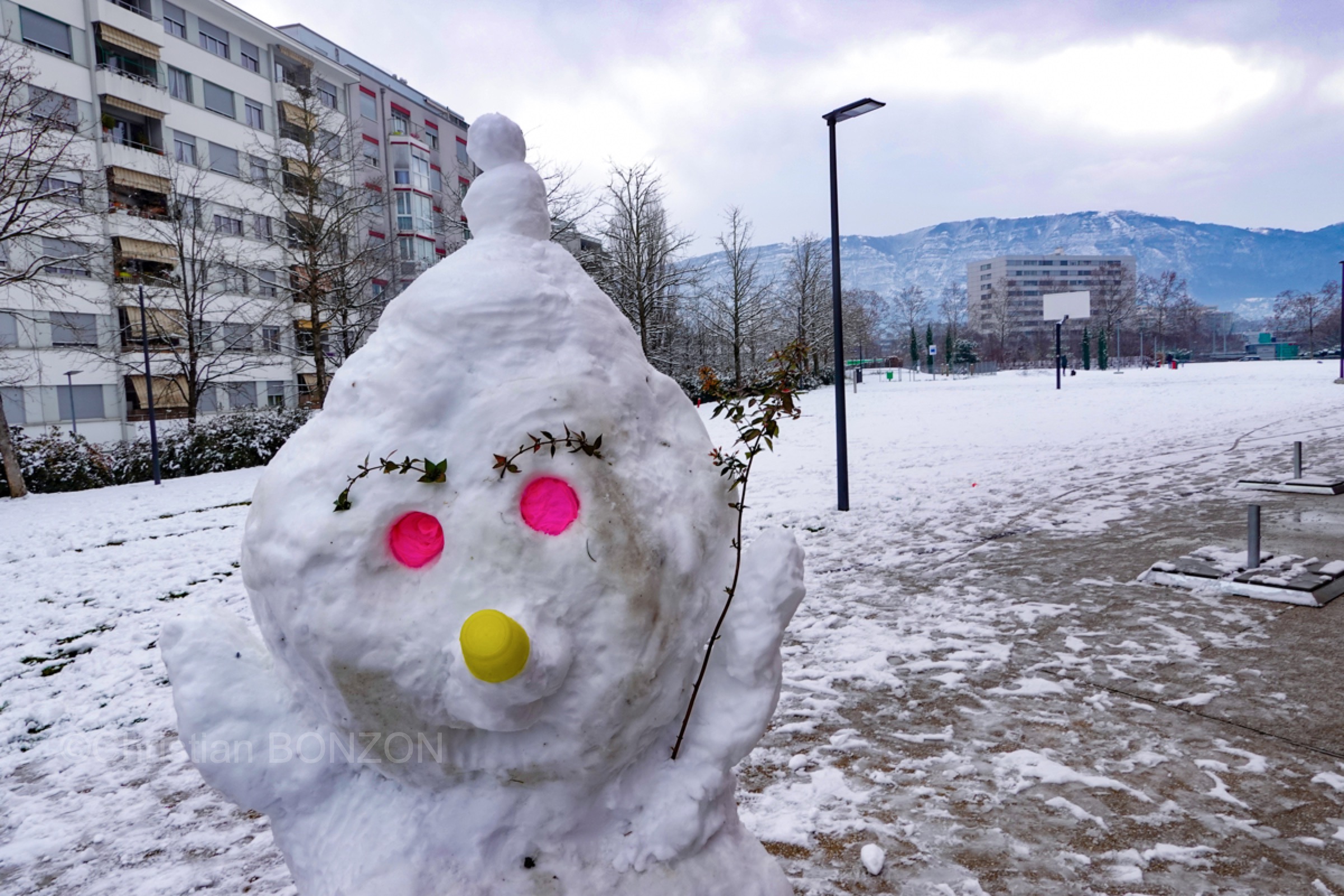 Neige007bohnommeneige