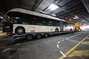 Trolleybus_Vanhool013