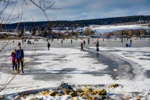 Vallee_deJoux_glace019