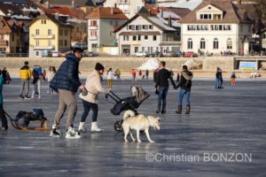 Vallee_deJoux_glace022