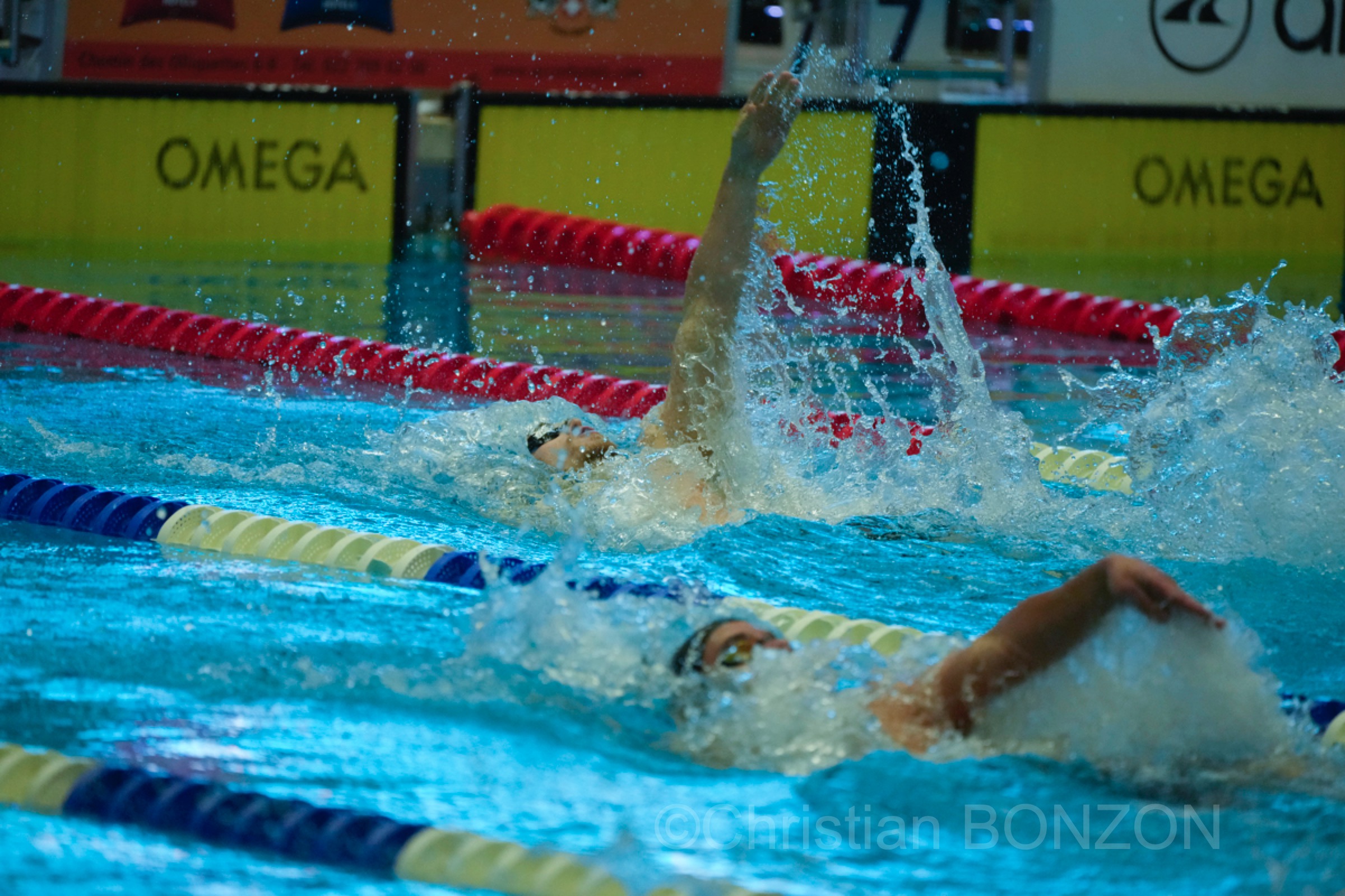 vernets_natation090