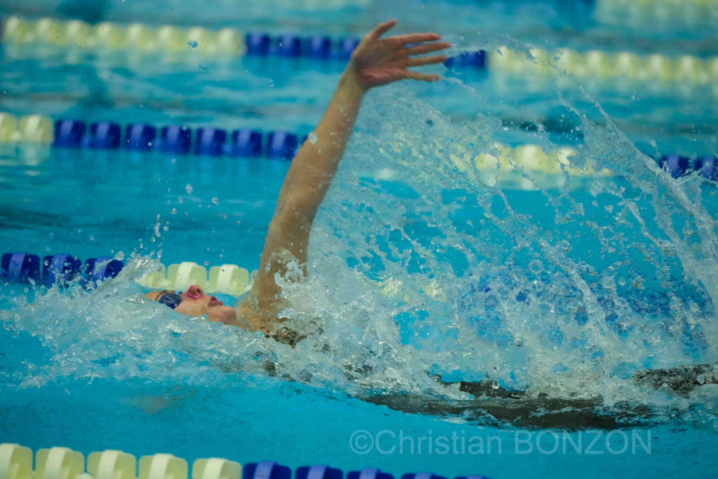 vernets_natation103