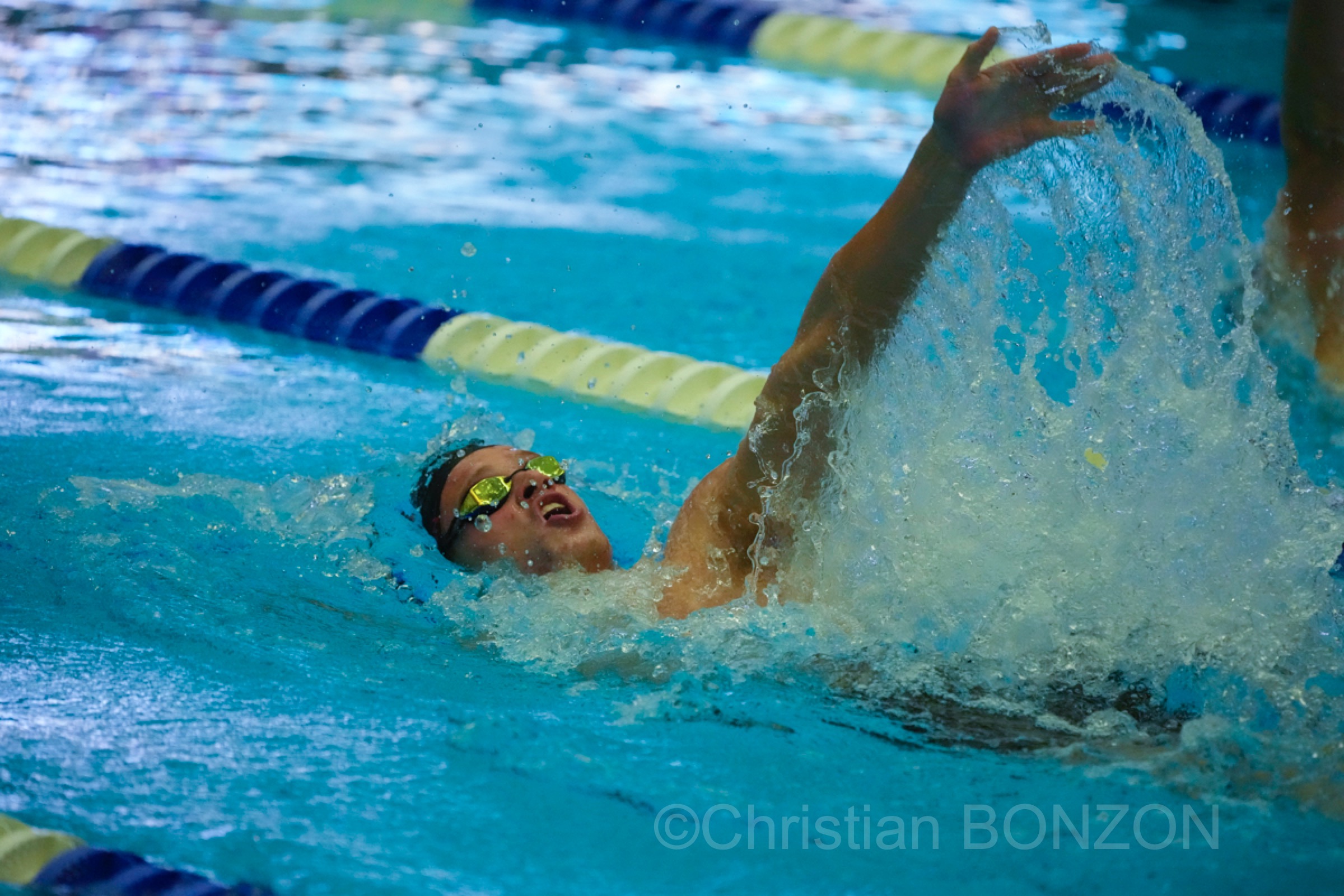 vernets_natation201