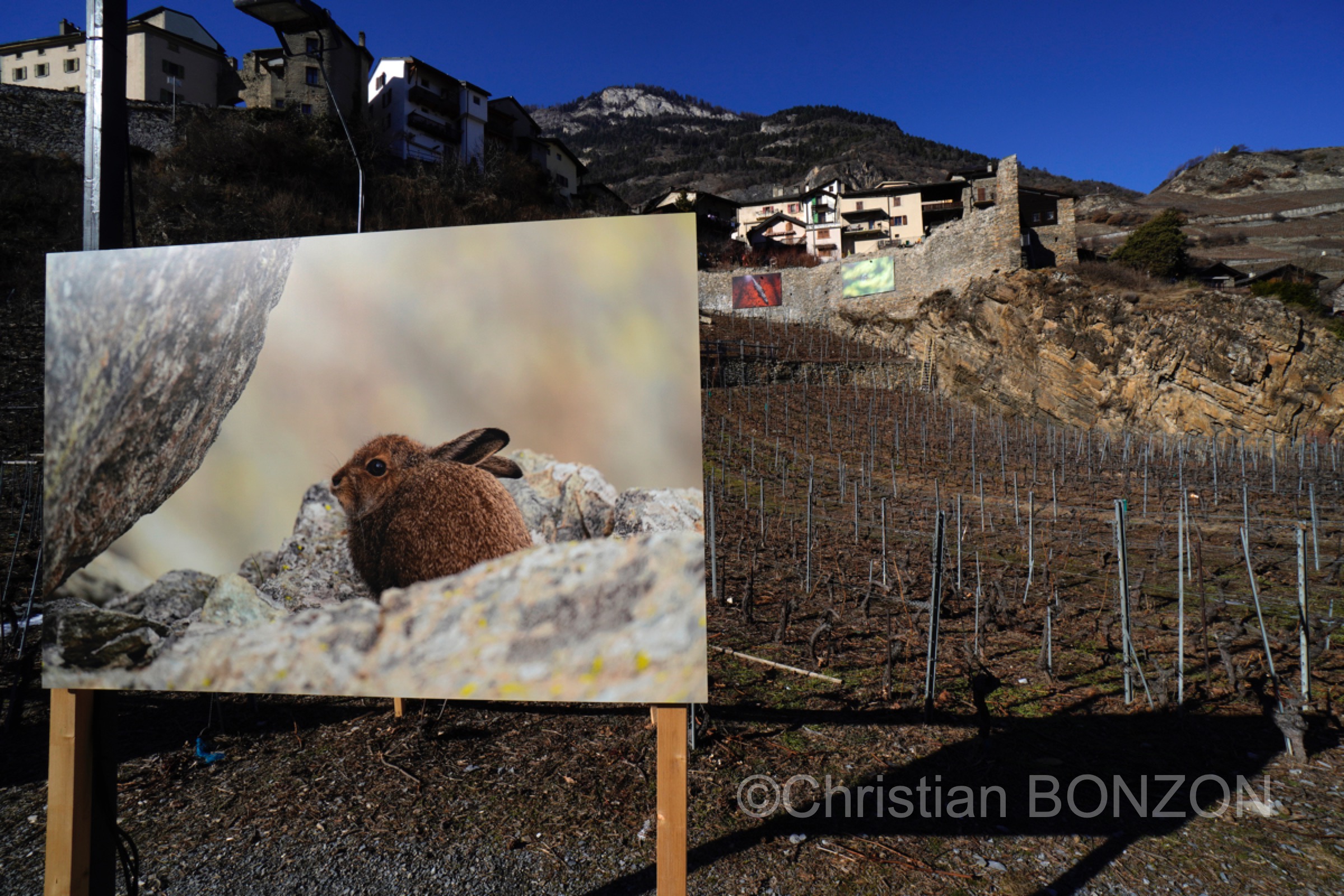 Saillon_photos_expo004