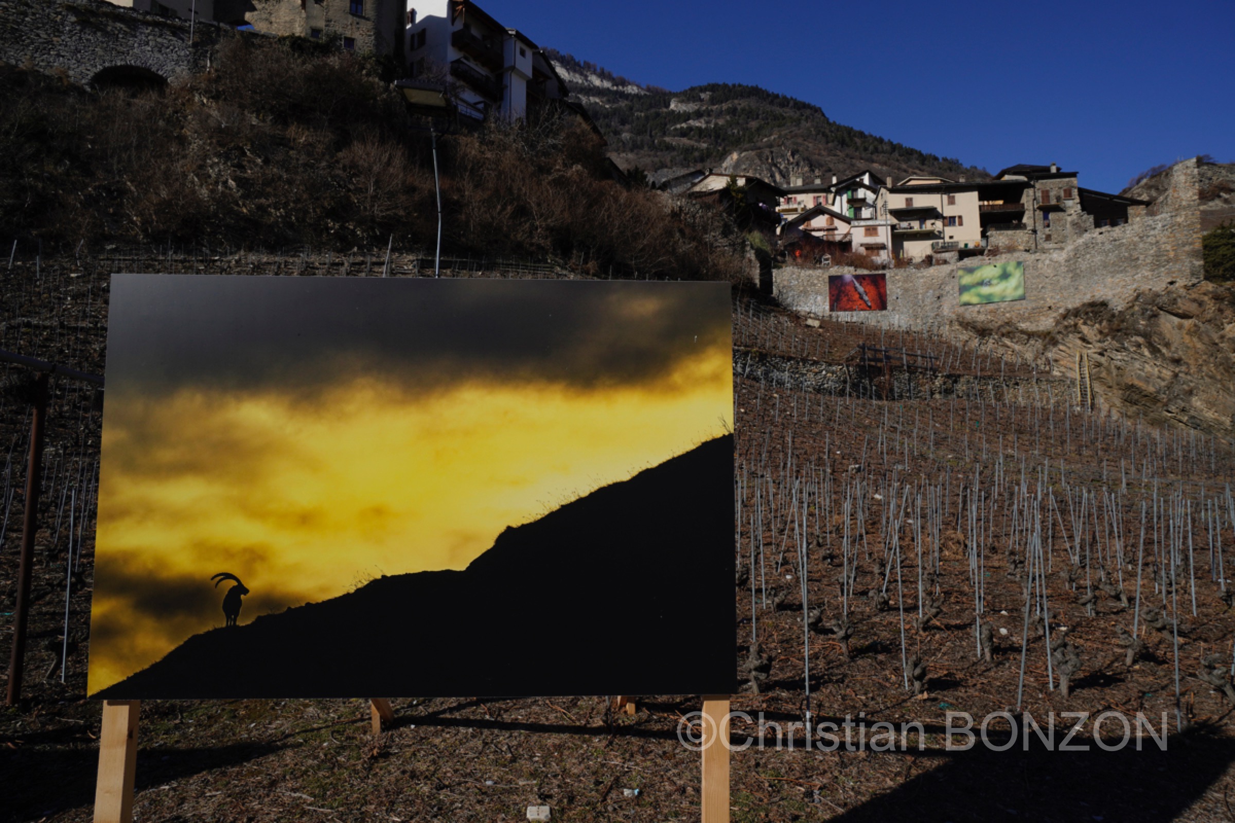 Saillon_photos_expo005