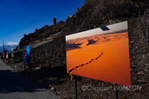 Saillon_photos_expo006