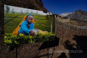 Saillon_photos_expo008