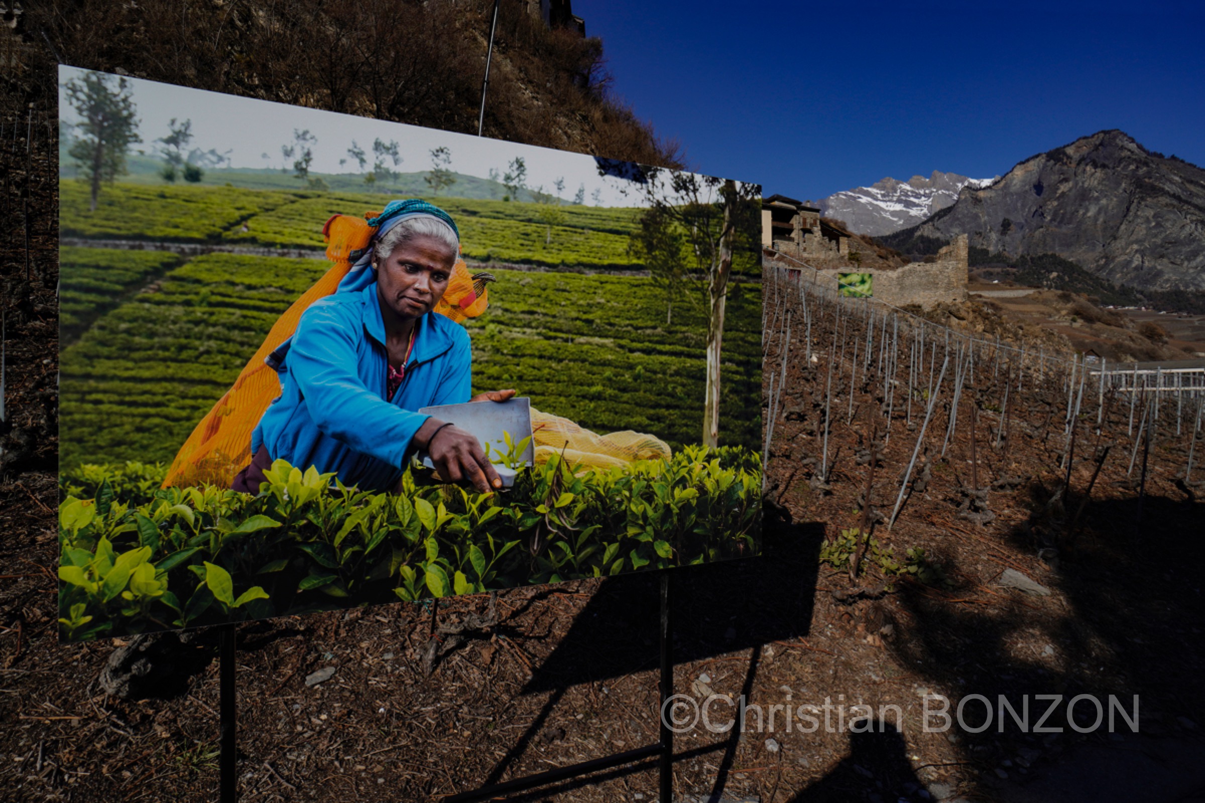 Saillon_photos_expo008