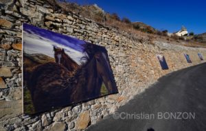 Saillon_photos_expo021