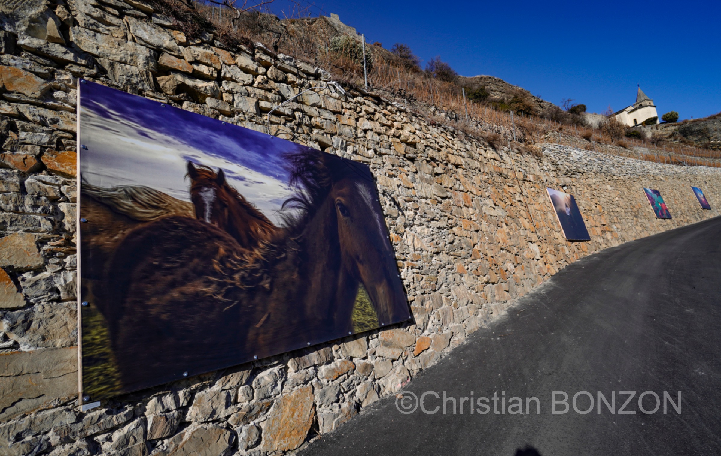 Saillon_photos_expo021