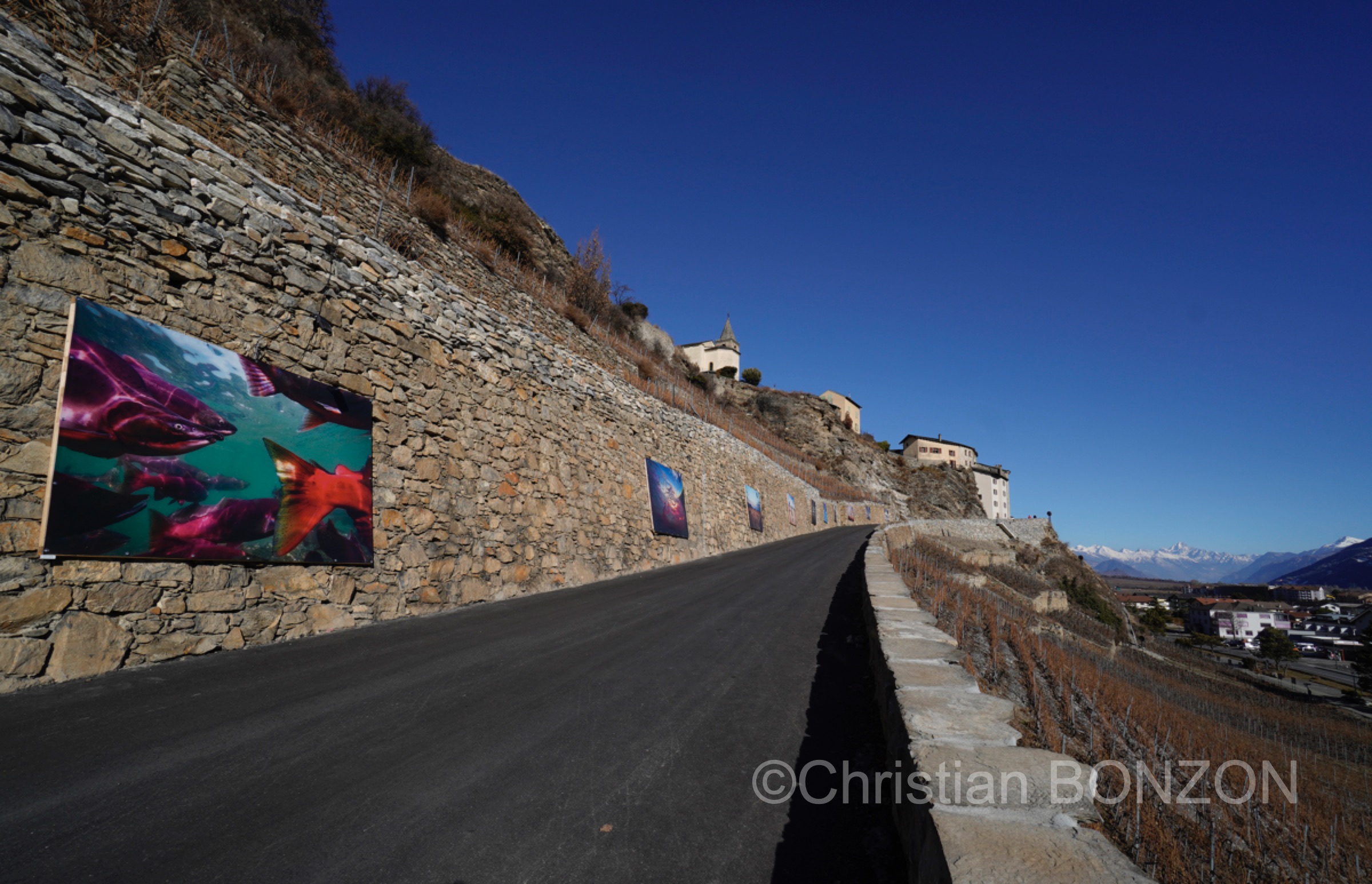 Saillon_photos_expo022