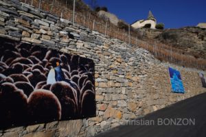 Saillon_photos_expo023