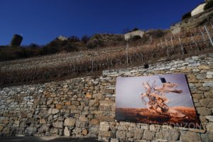 Saillon_photos_expo025