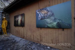 Saillon_photos_expo043