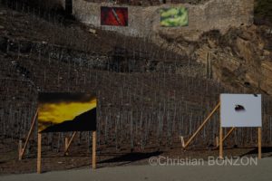 Saillon_photos_expo060