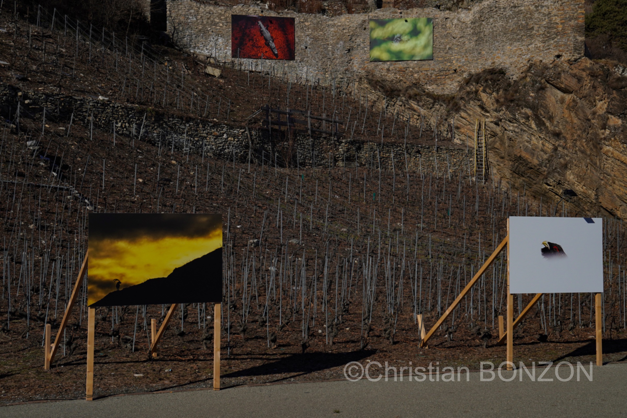 Saillon_photos_expo060