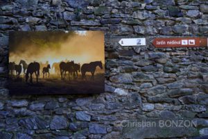 Saillon_photos_expo066