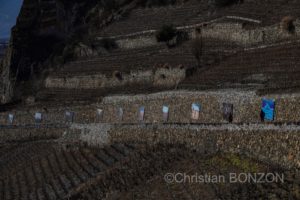 Saillon_photos_expo072