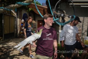 Happy_alod_perroquet_bioparc051