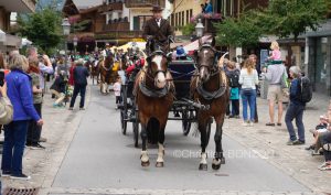 polo_cortege004
