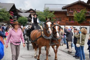 polo_cortege009