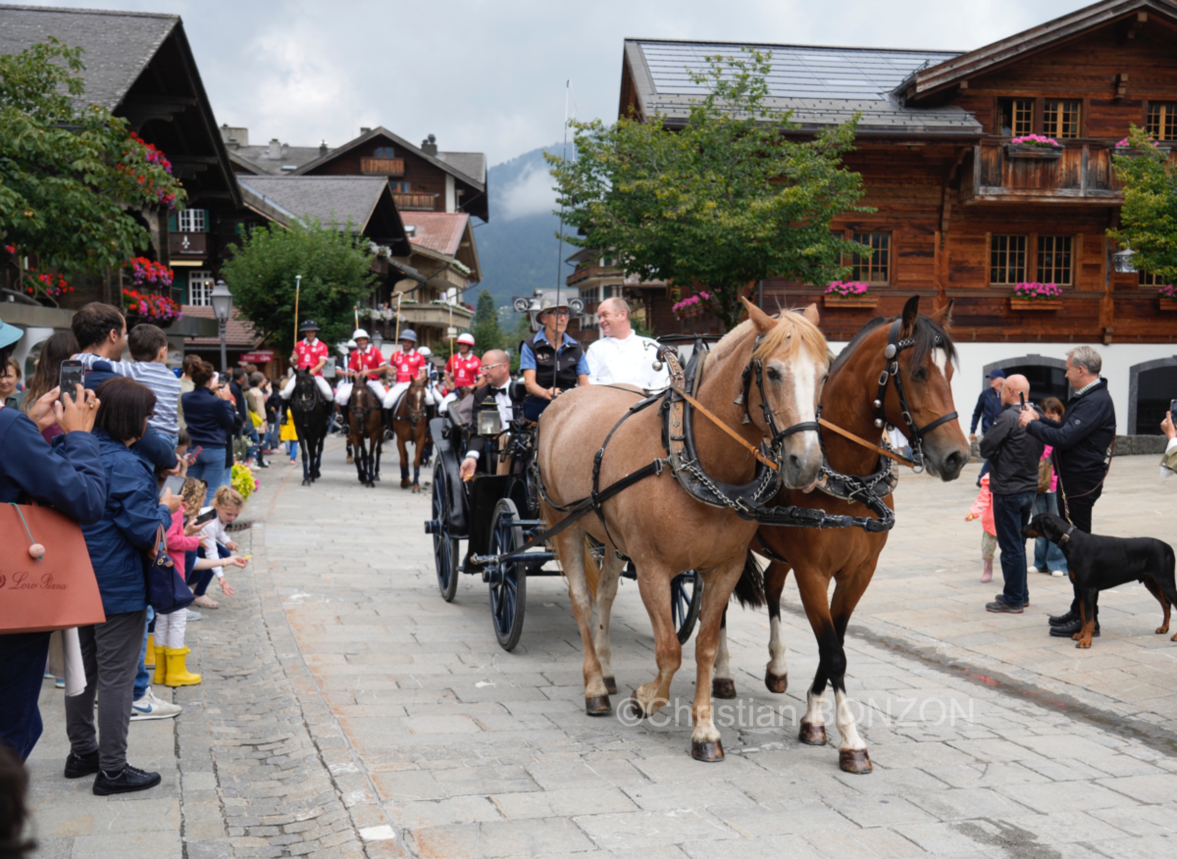 polo_cortege012