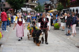 polo_cortege016
