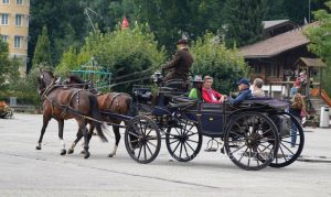polo_cortege023