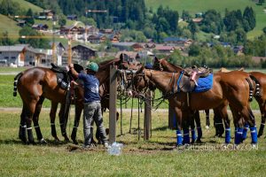 polo_gstaad002