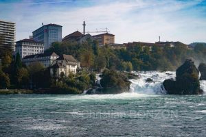 Shaffasen014