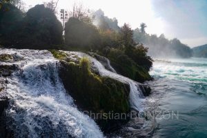 Shaffasen026