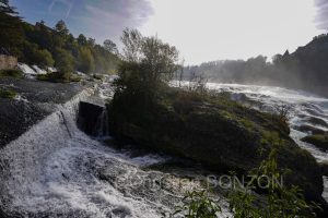 Shaffasen029