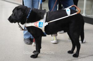 Mal_ V018oyants_Nouvelle_Comedie