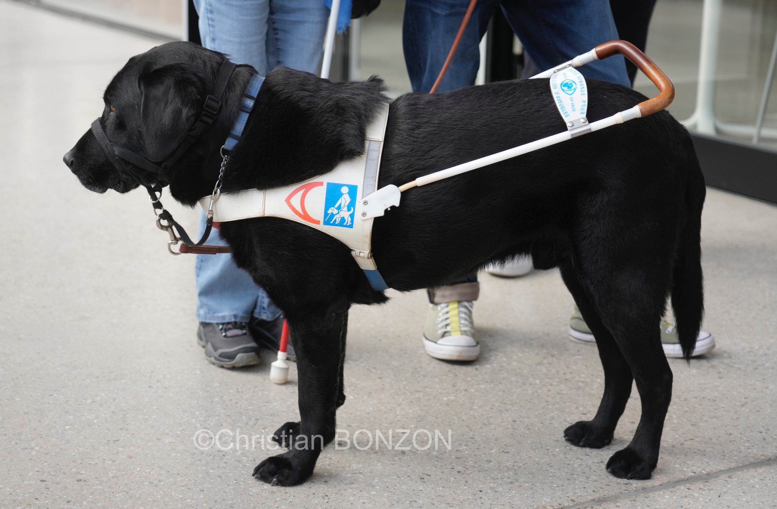Mal_ V018oyants_Nouvelle_Comedie