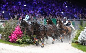 CHI_attelage_dimanche003