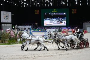 CHI_attelage_dimanche006