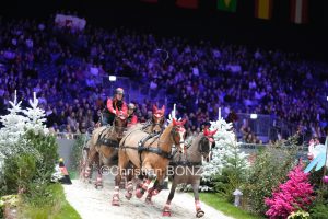 CHI_attelage_dimanche007