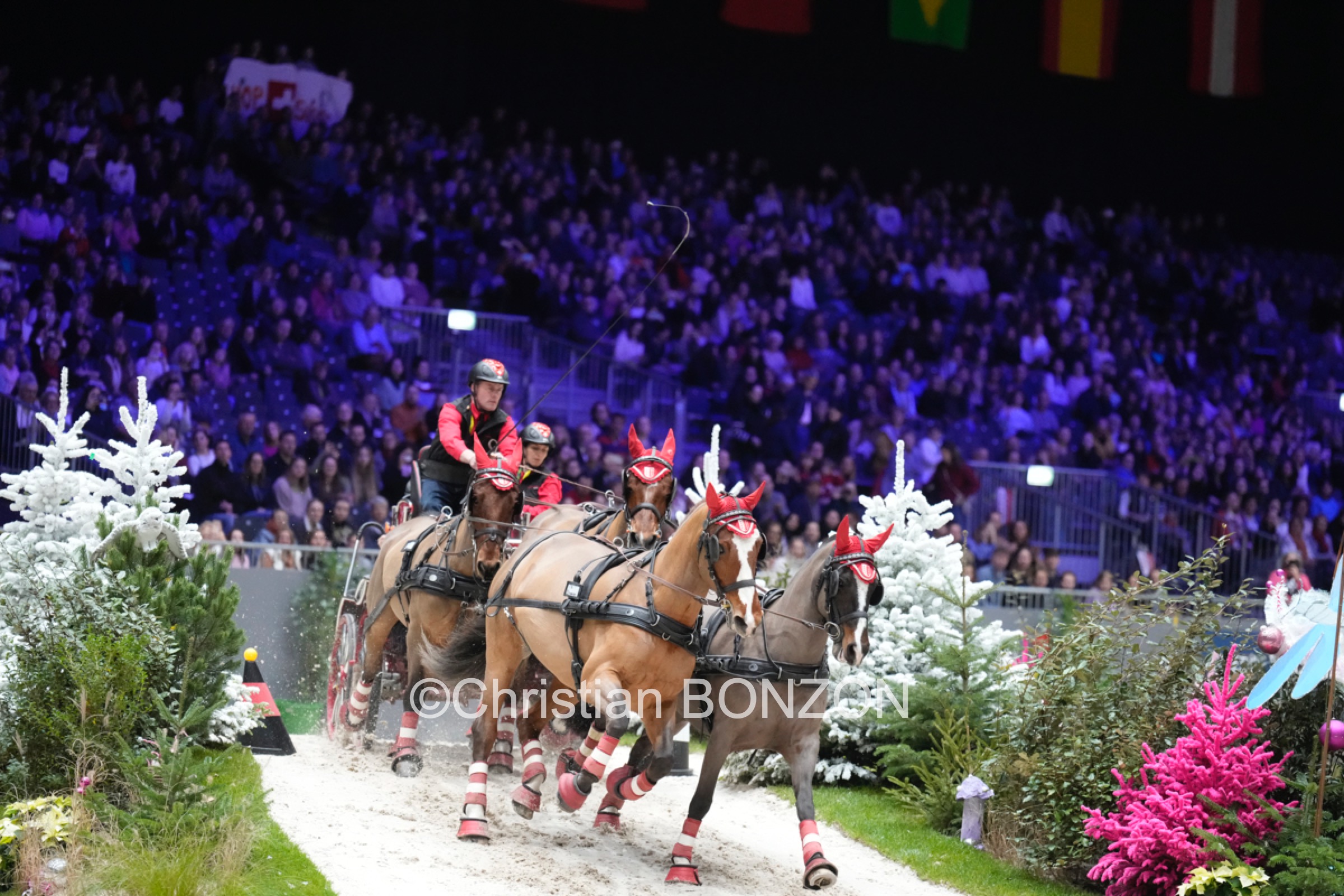 CHI_attelage_dimanche007