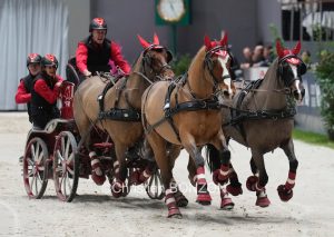 CHI_attelage_dimanche010