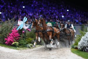 CHI_attelage_dimanche014