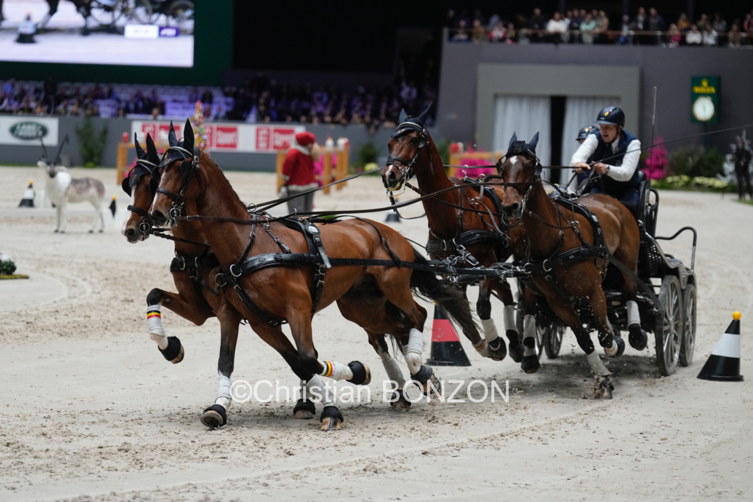 CHI_attelage_dimanche016