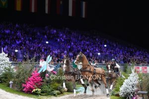 CHI_attelage_dimanche017